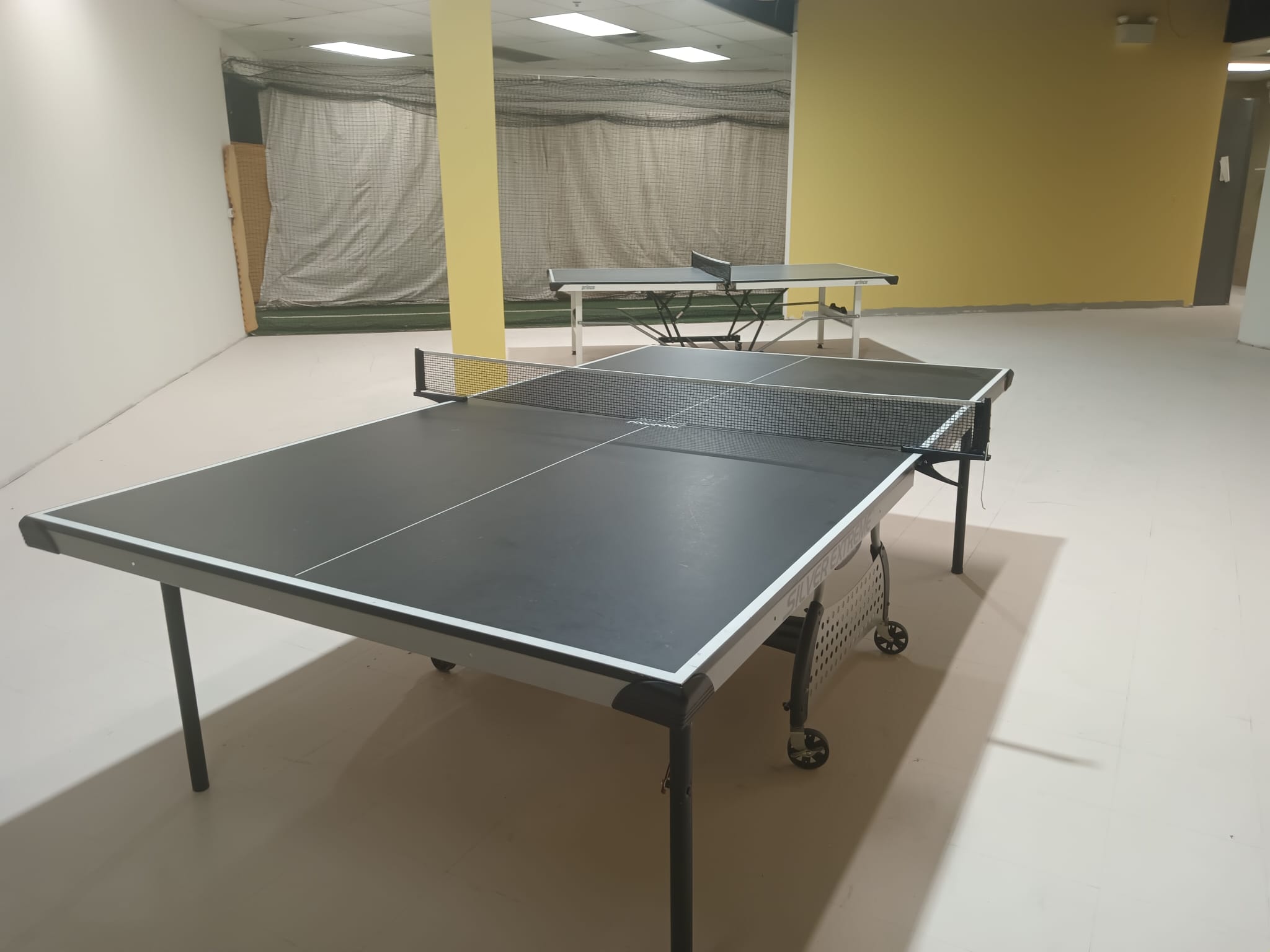 Table Tennis1
